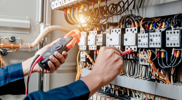 Best Ceiling Fan Installation Electrician  in Awendaw, SC