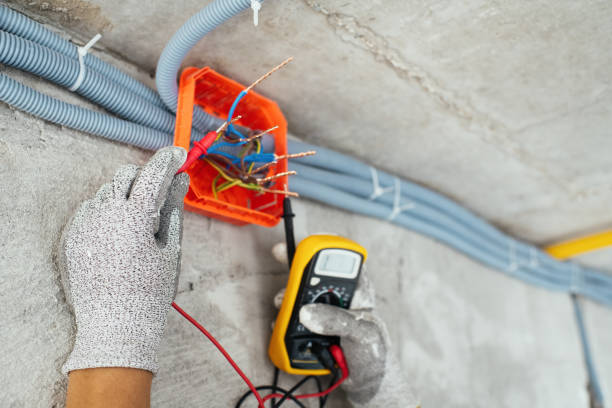 Best Local Electrician Companies  in Awendaw, SC