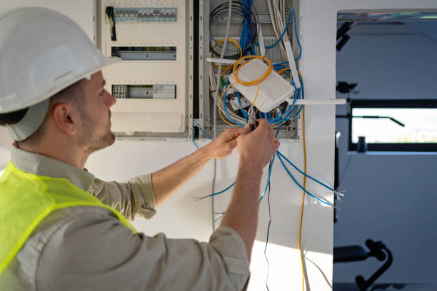 Best Local Electrician Companies  in Awendaw, SC